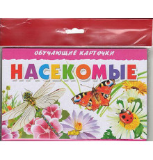 Обучающе карточки. Карточки (европодвес). Насекомые