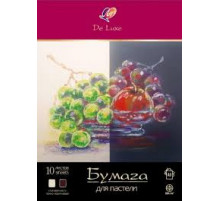 Бумага для пастели -ЛЮКС- в папке, А3, 10л, 2 цвета 33С 2160-08