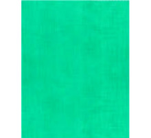 Тетрадь общая 48 листов, клетка, поля, скрепка, закругленные уголки, 170*205 мм цвет синий TW 548 B1 52 5 100