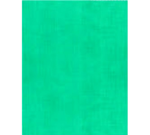 Тетрадь общая 48 листов, клетка, поля, скрепка, закругленные уголки, 170*205 мм цвет синий TW 548 B1 52 5 100