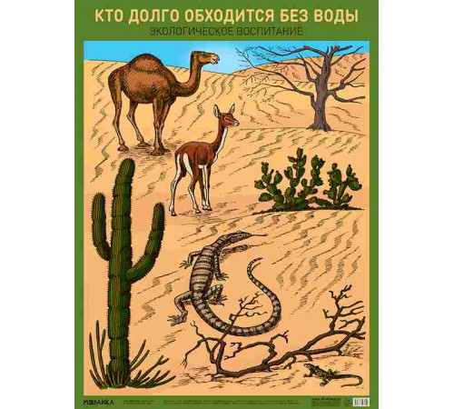 Плакат. Кто долго обходится без воды