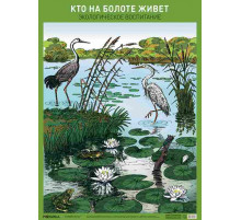 Плакат. Кто на болоте живет