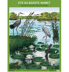 Плакат. Кто на болоте живет