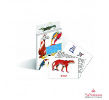 Дидактические карточки 