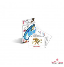 Дидактические карточки 