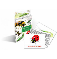 Дидактические карточки 