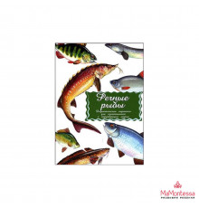 Дидактические карточки 