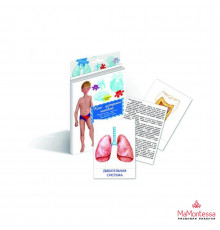 Дидактические карточки 