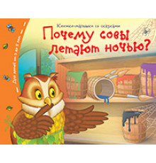 Книжки-малышки. Почему совы летают ночью?
