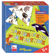 Развивающая игра 