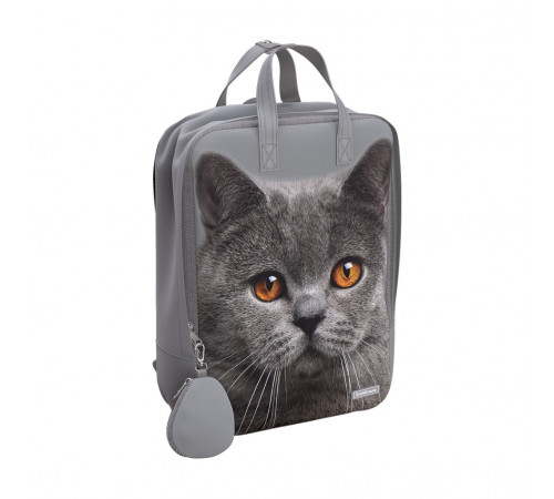 Рюкзак ErichKrause® ActiveLine Basic 16L Grey Cat