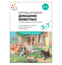 Наглядное пособие. Картины из жизни домашних животных. 3-7 лет. ФГОС .