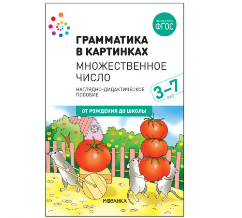 Наглядное пособие. Грамматика в картинках. Множественное число (2-е издание)