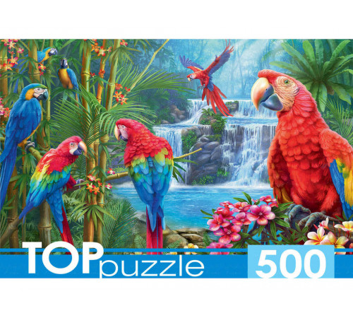 TOPpuzzle. ПАЗЛЫ 500 элементов. ЯРКИЕ ПОПУГАИ (Арт.ХТП500-6975)