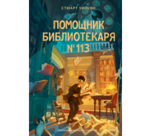 Помощник библиотекаря № 113