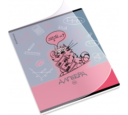 Тетрадь общая ученическая с пластиковой обложкой на скобе ErichKrause Котоформулы, Алгебра, 48 листов, клетка 62530