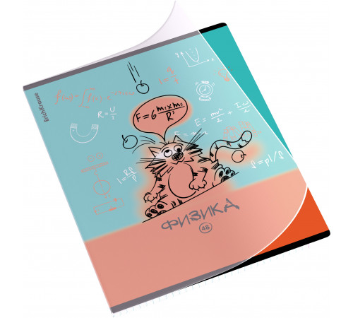 Тетрадь общая ученическая с пластиковой обложкой на скобе ErichKrause Котоформулы, Физика, 48 листов, клетка 59508