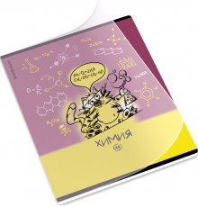 Тетрадь общая ученическая с пластиковой обложкой на скобе ErichKrause Котоформулы, Химия, 48 листов, клетка 59509