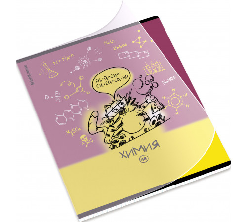 Тетрадь общая ученическая с пластиковой обложкой на скобе ErichKrause Котоформулы, Химия, 48 листов, клетка 59509