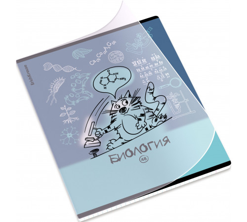 Тетрадь общая ученическая с пластиковой обложкой на скобе ErichKrause Котоформулы, Биология, 48 листов, клетка 59510