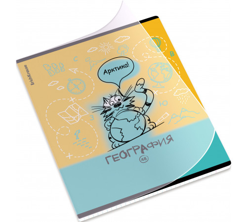 Тетрадь общая ученическая с пластиковой обложкой на скобе ErichKrause Котоформулы, География, 48 листов, клетка 62532