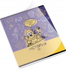 Тетрадь общая ученическая с пластиковой обложкой на скобе ErichKrause Котоформулы, История, 48 листов, клетка 62533