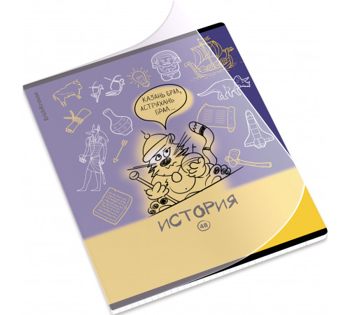 Тетрадь общая ученическая с пластиковой обложкой на скобе ErichKrause Котоформулы, История, 48 листов, клетка 62533