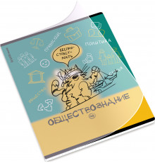 Тетрадь общая ученическая с пластиковой обложкой на скобе ErichKrause Котоформулы, Обществознание, 48 листов, клетка 62534