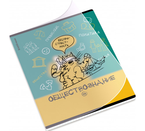 Тетрадь общая ученическая с пластиковой обложкой на скобе ErichKrause Котоформулы, Обществознание, 48 листов, клетка 62534