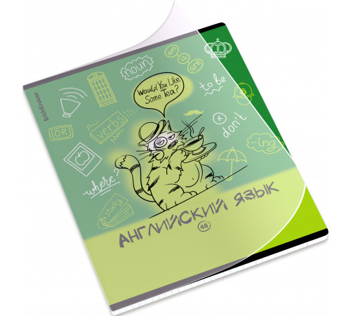 Тетрадь общая ученическая с пластиковой обложкой на скобе ErichKrause Котоформулы, Английский язык, 48 листов, клетка 62535