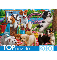 TOPpuzzle. ПАЗЛЫ 2000 элементов. Щенки на пикнике