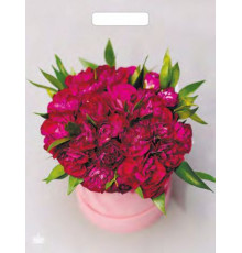 Пакет 31*40 =60 Букет пионов ВД Глянец прор (50-500)№16