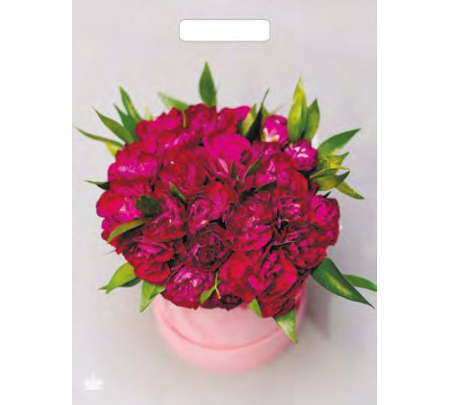 Пакет 31*40 =60 Букет пионов ВД Глянец прор (50-500)№16