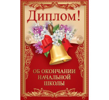 Диплом об окончании начальной школы 15.22.00233