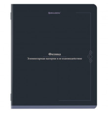 Тетрадь предметная VINTAGE 48 л., SoftTouch, ФИЗИКА, клетка, подсказ, BRAUBERG, 405158