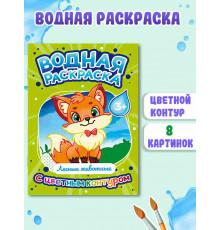 ВОДНАЯ РАСКРАСКА с цветным контуром. Лесные животные