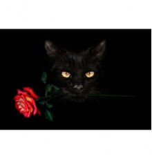 Алмаз мозаика (клас.) 30х40 см, с подр., с полн. заполн. (19 цв.) Чёрный кот с розой (Арт. НД-8