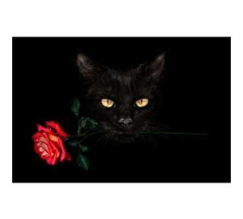 Алмаз мозаика (клас.) 30х40 см, с подр., с полн. заполн. (19 цв.) Чёрный кот с розой (Арт. НД-8