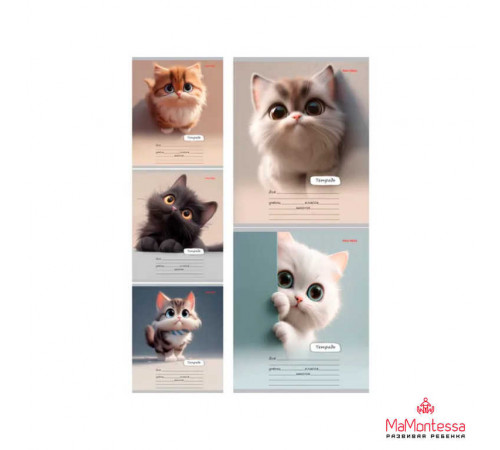 Тетрадь ЛИНИЯ 18л. МИЛЫЙ ВЗГЛЯД КОТЁНКА (18-5592) цвет.мелов.обл.,5 дизайнов в спайке