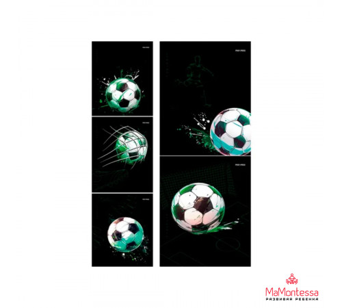 Тетрадь КЛЕТКА 48л. МЯЧ НА ЧЁРНОМ (Т48-2310) цветная мелованная обложка