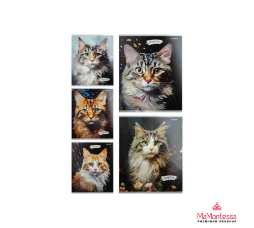 Тетрадь КЛЕТКА 48л. КАРТИНЫ С КОТИКАМИ (48-3916) твин-лак, цвет.мелов.обл., 5 диз в спайке