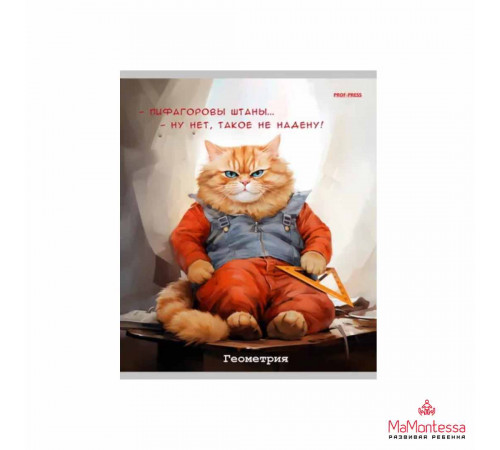 TM Prof-Press Тетрадь КЛЕТКА 48л. ГЕОМЕТРИЯ «ЖИЛ БЫЛ КОТ» (Т48-1447) стандарт, б/о