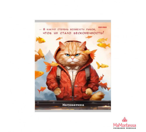TM Prof-Press Тетрадь КЛЕТКА 48л. МАТЕМАТИКА «ЖИЛ БЫЛ КОТ» (Т48-2318) стандарт, б/о