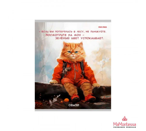 TM Prof-Press Тетрадь КЛЕТКА 48л. ОБиЗР «ЖИЛ БЫЛ КОТ» (Т48-2320) стандарт, б/о