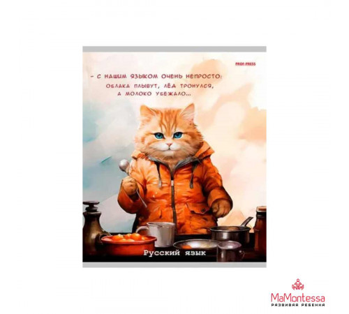 TM Prof-Press Тетрадь ЛИНИЯ 48л. РУССКИЙ ЯЗЫК «ЖИЛ БЫЛ КОТ» (Т48-1452) стандарт, б/о