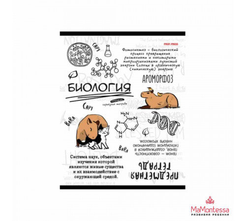 TM Prof-Press Тетрадь КЛЕТКА 48л. БИОЛОГИЯ «КАПИБАРА» (48-0033) стандарт, тиснение лён