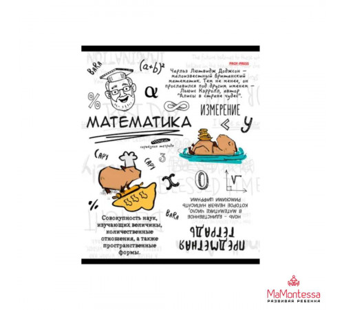 TM Prof-Press Тетрадь КЛЕТКА 48л. МАТЕМАТИКА «КАПИБАРА» (48-0039) стандарт, тиснение лён