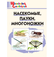 Школьный словарик. Насекомые, пауки, многоножки