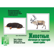 Игра-Животные нашей страны- Д-281