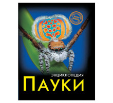 Энциклопедия. Хочу знать. Пауки